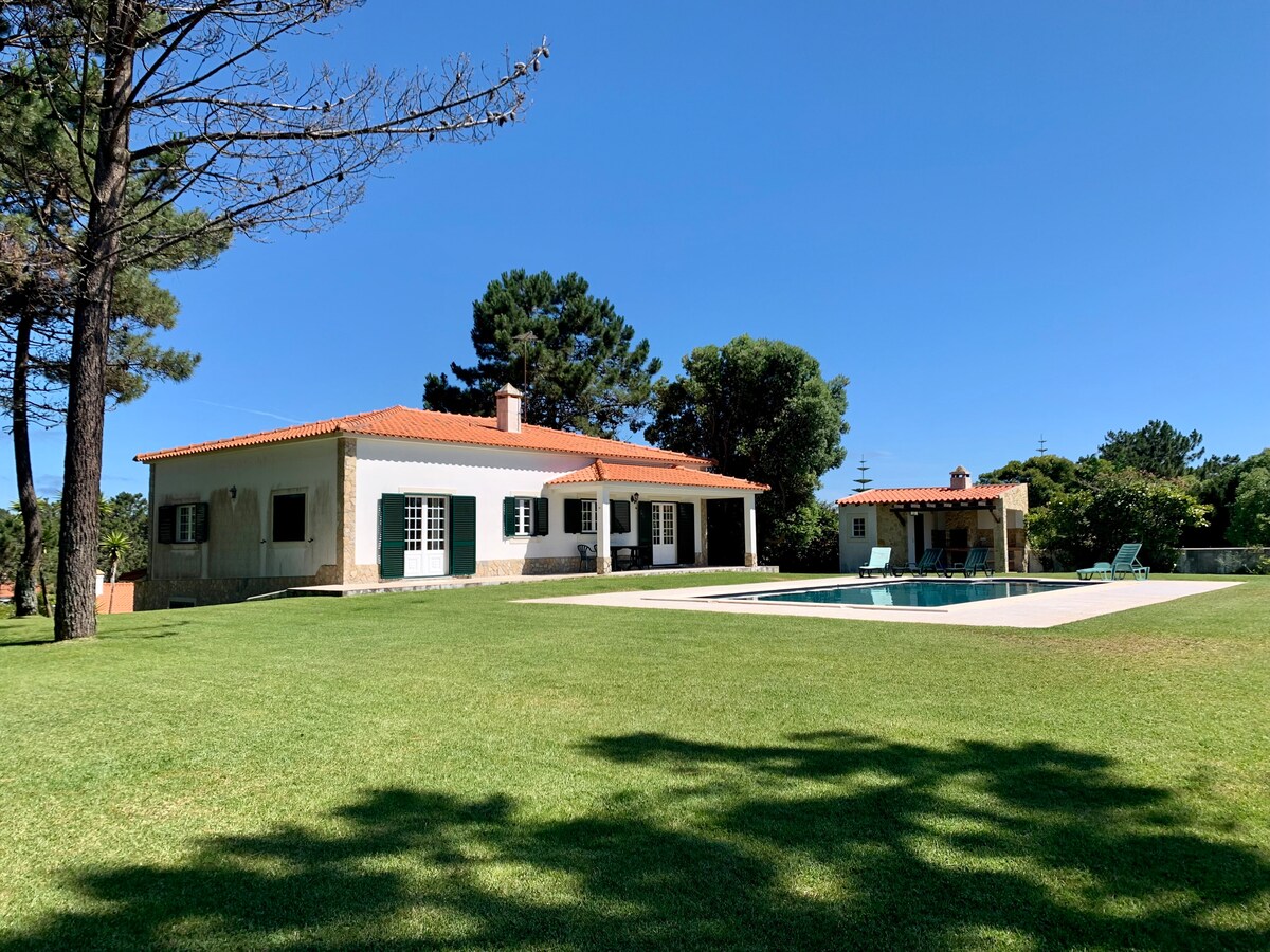 A spacious cottage is surrounded by lush greenery, featuring a manicured lawn and a private swimming pool. The exterior showcases a traditional design with white walls and green shutters. A sun terrace is visible beside the pool, providing ample space for relaxation.