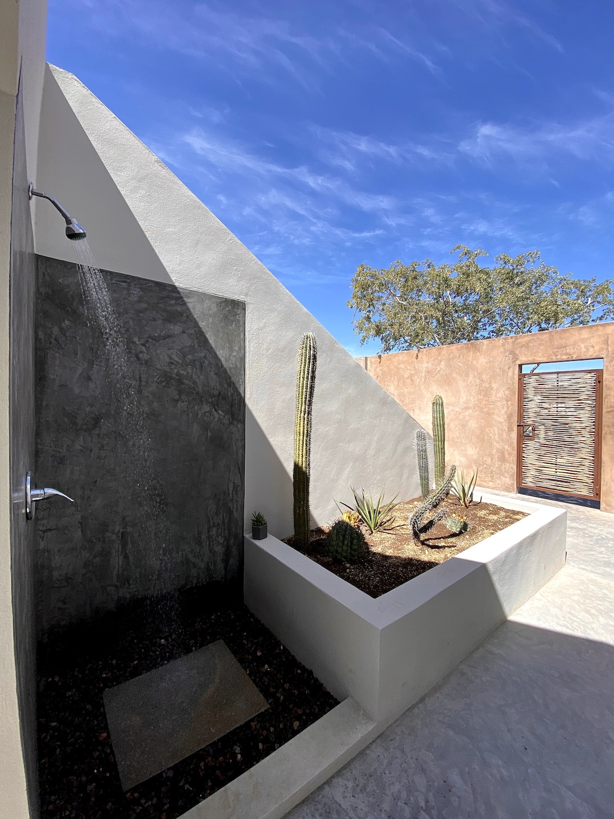An outdoor shower with two showerheads is set against a textured wall. A small cactus garden adds greenery to the space, featuring various plants in a cement planter. The clear blue sky enhances the bright atmosphere, creating a relaxing retreat.