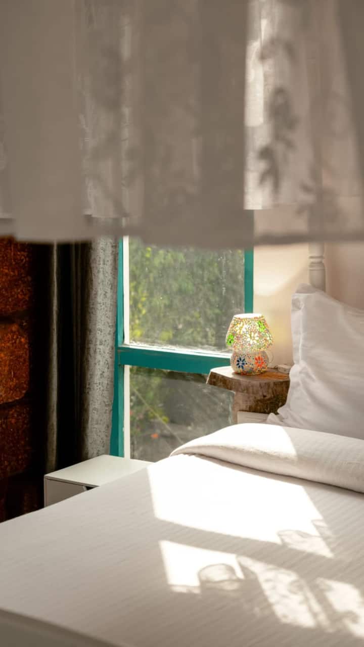 Habitación 1
