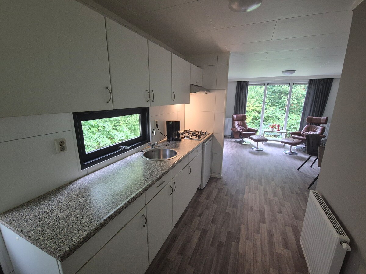 A kitchen area features white cabinetry and a long countertop. A sink and gas stove are visible, with a large window offering a view of the surrounding greenery. The adjacent living area contains comfortable seating with two armchairs and a small table, illuminated by natural light.