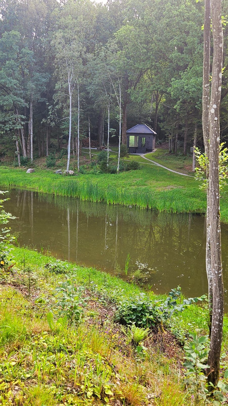 A peaceful view of a pond surrounded by lush greenery and tall trees. A pathway can be seen leading to a modern cabin situated near the water's edge, blending harmoniously with the natural landscape.