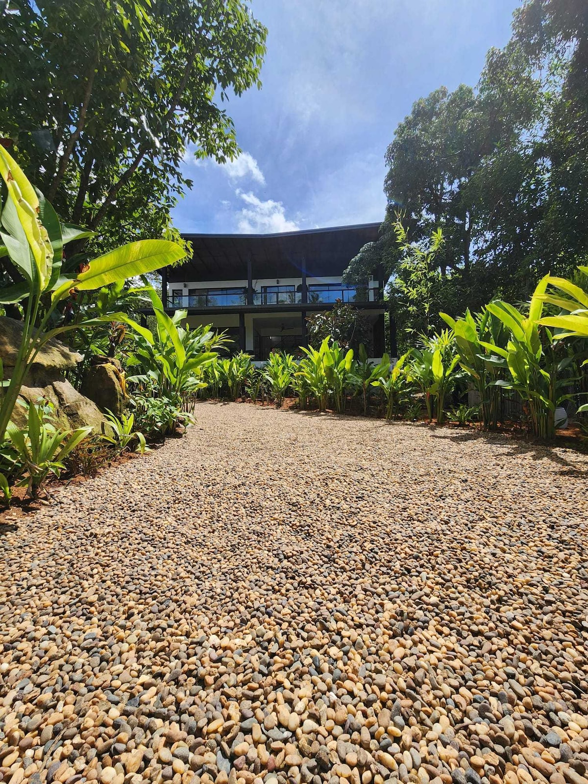 A winding pathway of pebbles is bordered by lush tropical plants, leading towards a modern structure with large windows. The scene is bathed in natural light, set against a backdrop of vibrant greenery and clear blue skies.