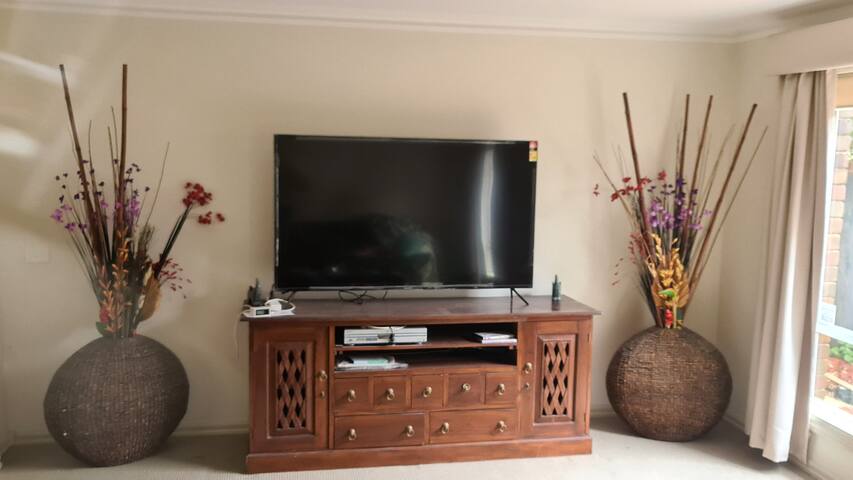 Large house for a large family