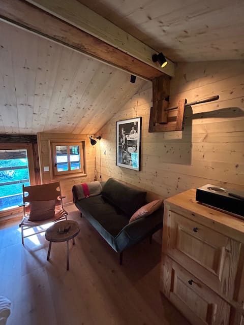 Top performing Airbnb: Two charming alpine chalets, fireplace and tent in Ormont Dessus