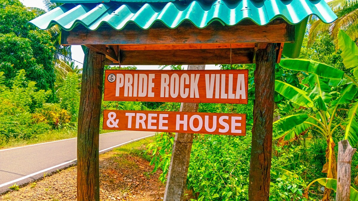 A wooden sign for Pride Rock Villa & Tree House is displayed prominently beneath a green corrugated roof. The sign is flanked by lush greenery, suggesting a natural setting. A clear view of the road indicates easy accessibility to the villa.