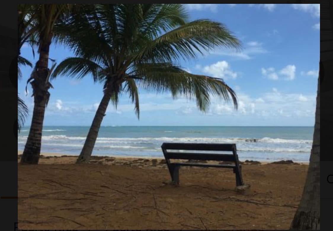 A wooden bench is positioned on sandy ground, surrounded by lush palm trees. The serene ocean is visible in the background, with gentle waves lapping at the shore under a clear sky dotted with fluffy clouds.