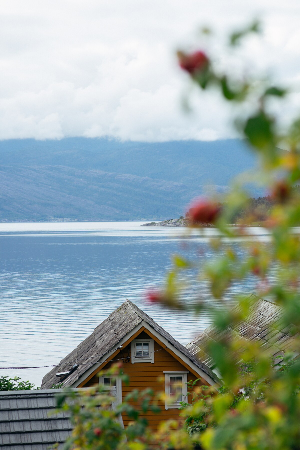 A cozy yellow cabin is set against the backdrop of a calm fjord, with gentle ripples reflecting the surrounding mountains. The image features soft focus plants in the foreground, adding a natural frame to the scenic view.