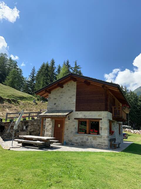 Chalet in the woods