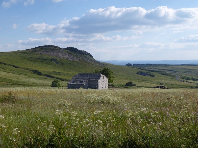 A renovated stone farmhouse is set against a backdrop of rolling green hills, under a partly cloudy sky. Fields of wildflowers surround the home, emphasizing the area's natural beauty and tranquility.
