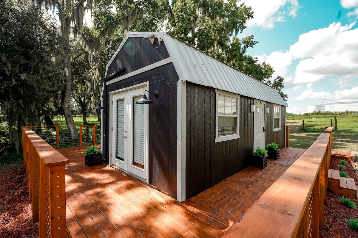 A charming tiny home is showcased with a sleek metal roof and dark wooden exterior. A spacious wooden deck surrounds the structure, featuring potted plants by the entrance and ample natural light illuminating the entryways. Lush green pastures are visible in the background.