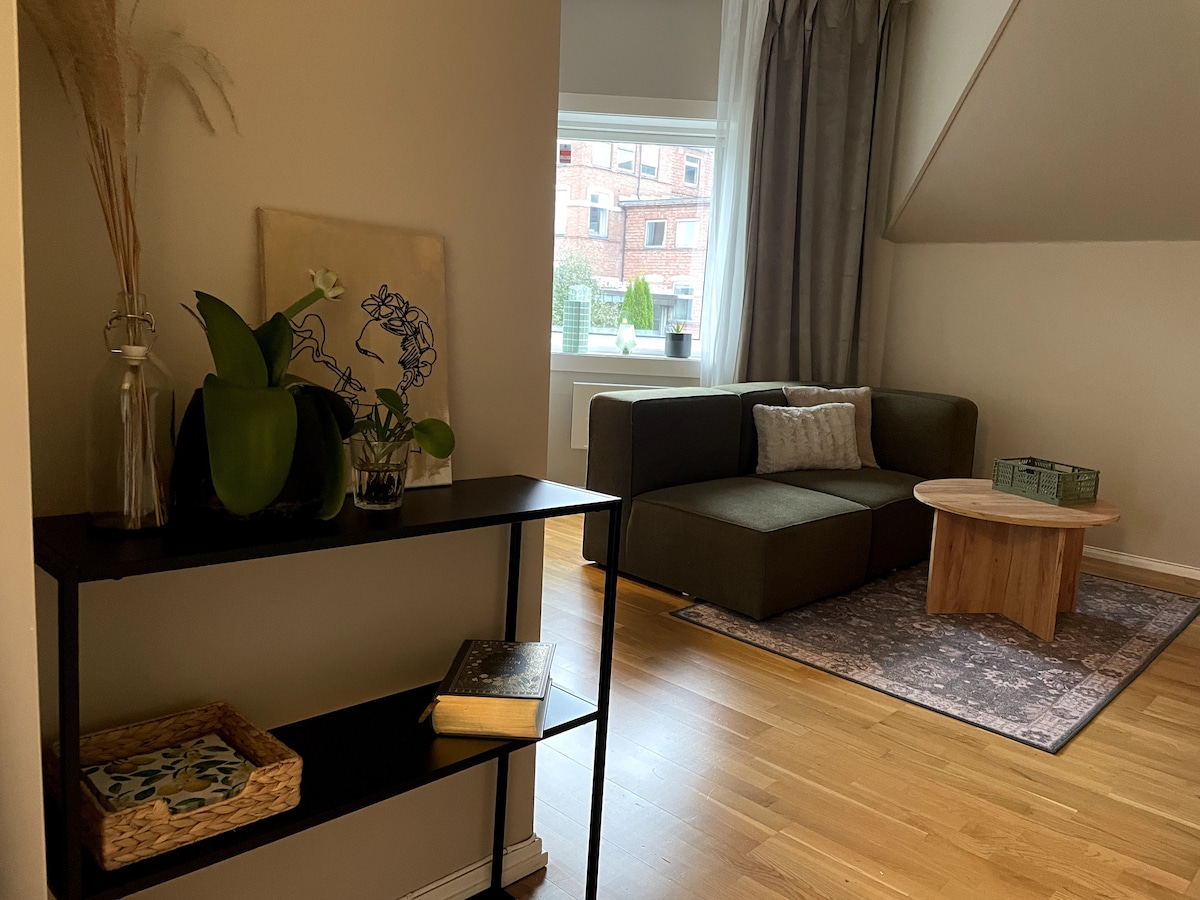 A living area is presented with a comfortable green sofa, a wooden coffee table, and a soft area rug. Natural light filters through a large window, illuminating decorative plants and a small bookshelf displaying a book and a woven basket.