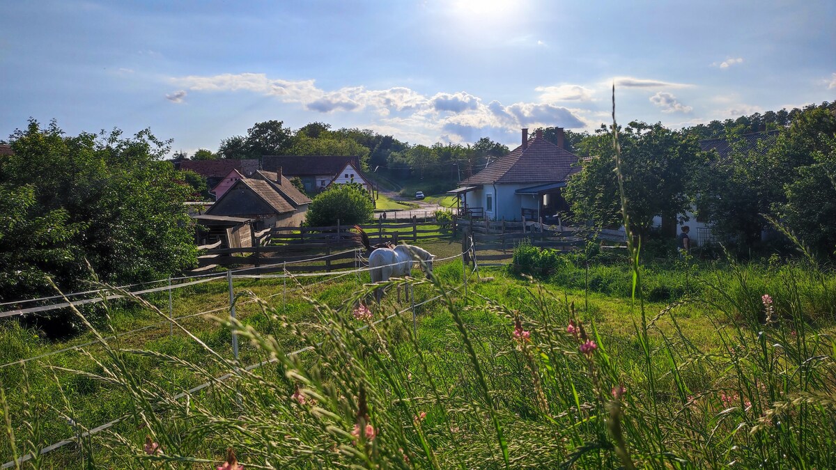 The image captures a peaceful rural landscape, featuring a charming house surrounded by lush greenery and grazing horses. Fenced pastures are visible in the background, along with a variety of trees and flowering plants basking in the sunlight.