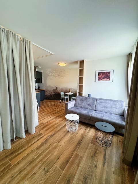 Successful Airbnb property: Mountain apartment Louky 120/4 in Oberwiesenthal
