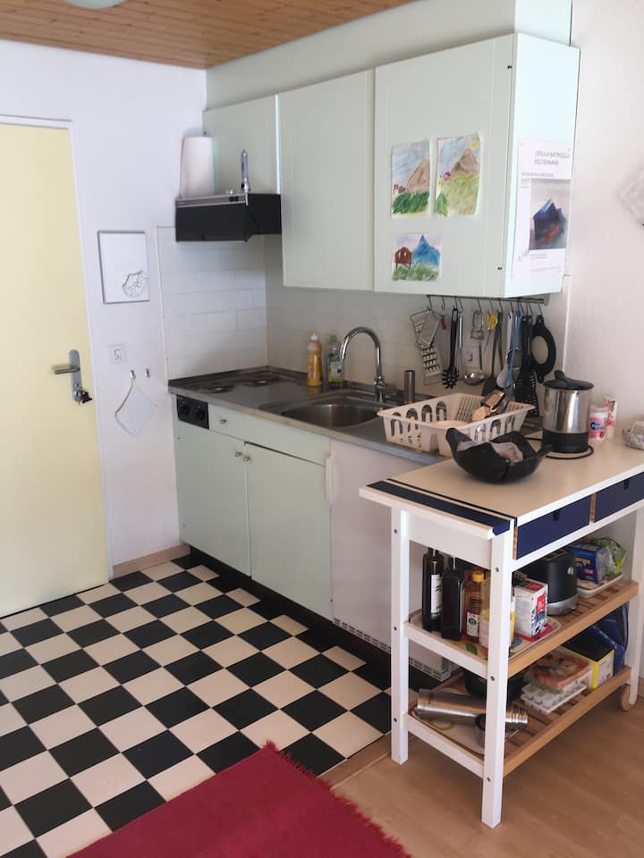 Studio Zenlauinen In Saas-grund - Saas-Fee