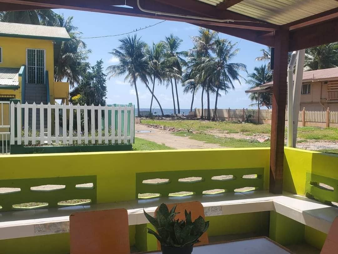 A shaded outdoor seating area features a built-in bench with tables, overlooking a pathway lined with palm trees leading to the ocean. The vibrant green walls complement the serene coastal view, creating a relaxed atmosphere.