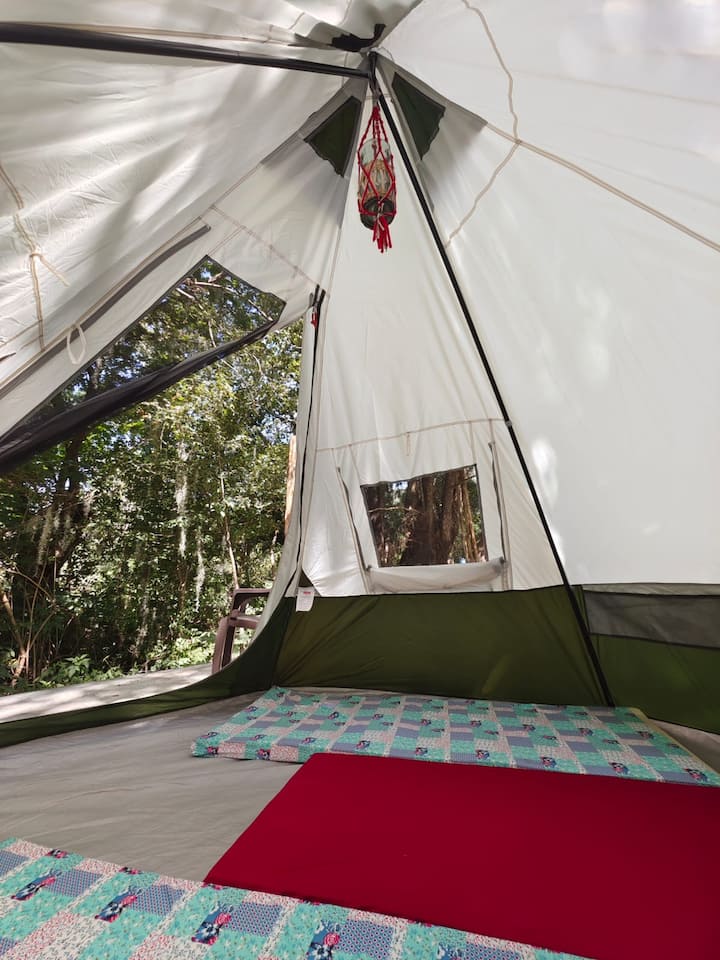 tienda para 4 personas, cada colchón mide 90 de ancho x 2.20 de largo, con un grosor de 8cm, muy confortables 