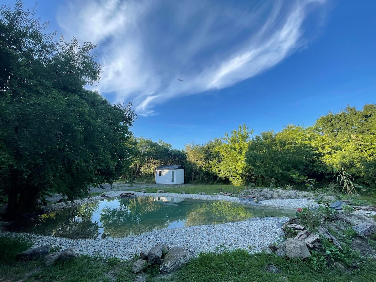 A serene garden pond is surrounded by lush greenery, with scattered rocks along the edges. A small white building is visible in the background, framed by trees under a clear blue sky decorated with wispy clouds.