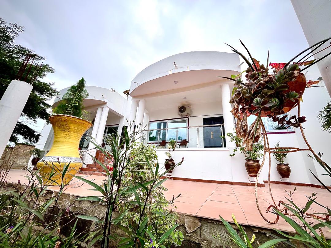 An exterior view of a modern apartment showcases a spacious terrace with large windows. Potted plants, including flowering ones, are positioned around the entryway. A decorative large yellow planter is visible in the foreground, complementing the architectural design of the building.
