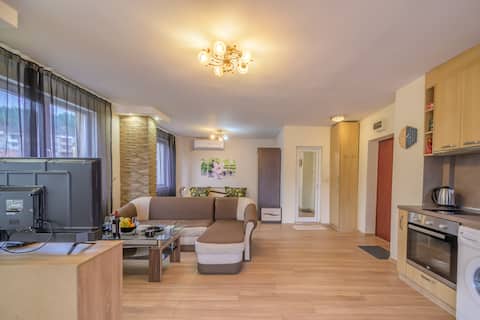 Two Unique Apartments | AUBG | Free Garage Parking