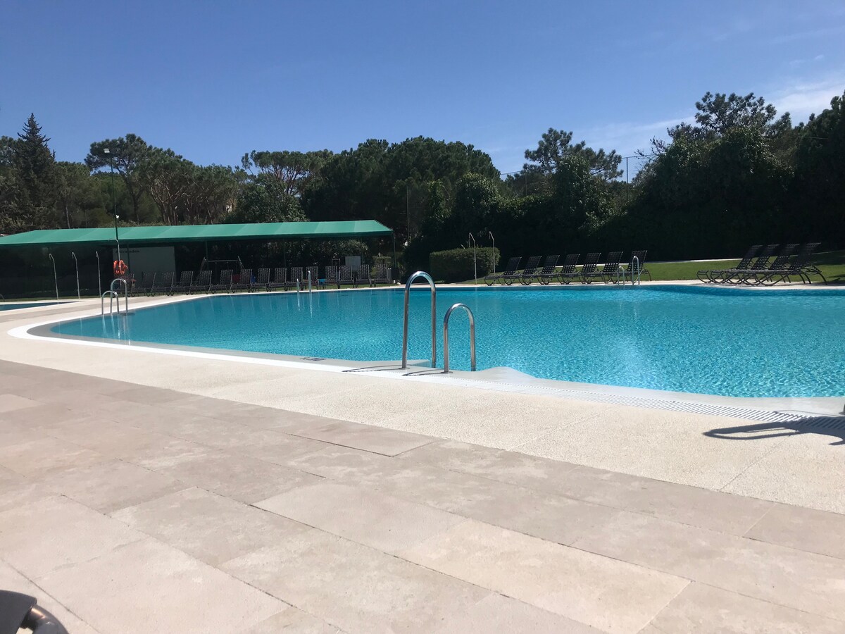 A large swimming pool is featured, surrounded by paved areas and equipped with multiple sun loungers arranged neatly in the background. Lush greenery provides a serene backdrop, while a shaded structure stands to one side, offering additional seating and shelter.