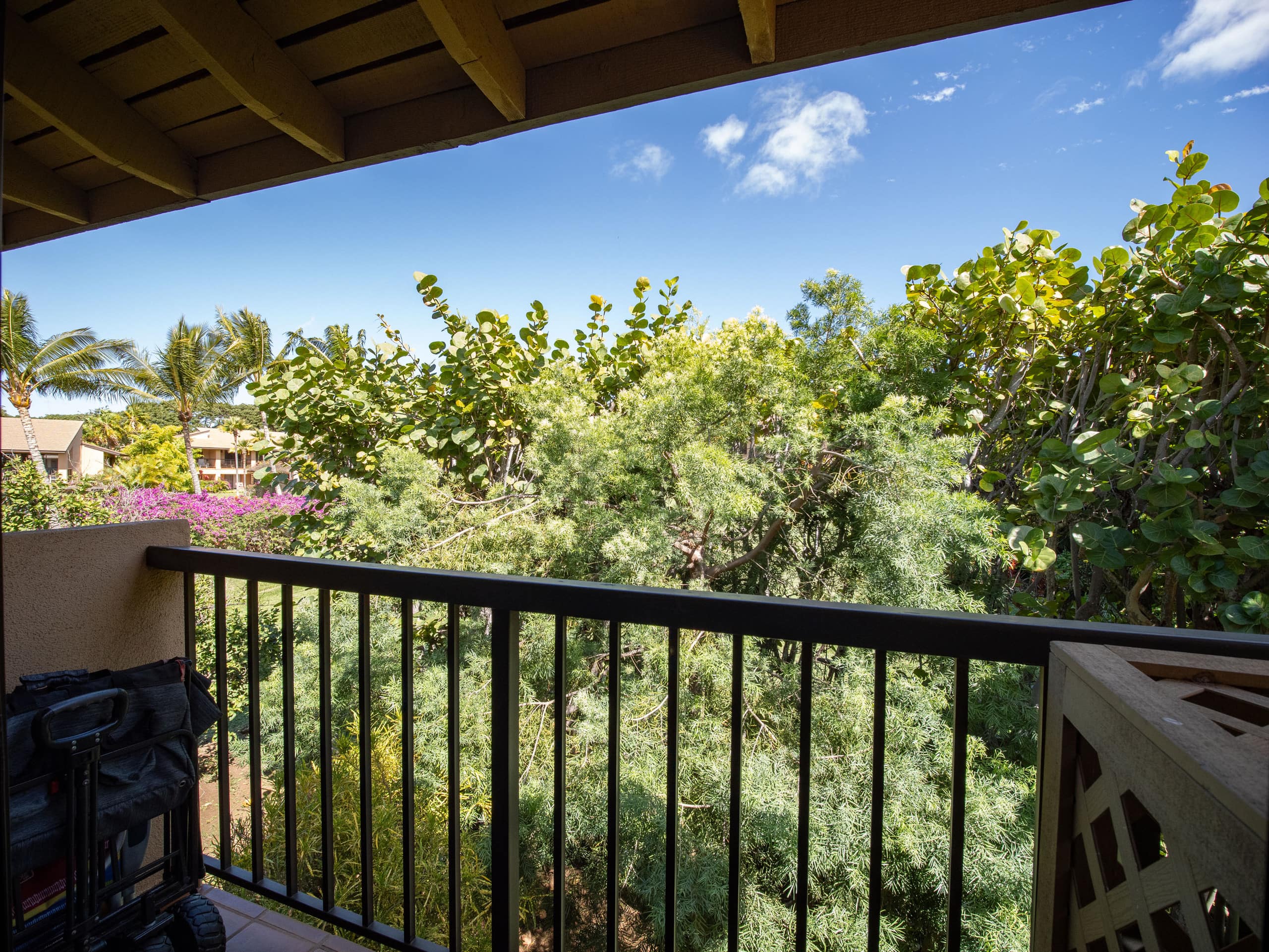 Tropical Beachfront Paradise - Image 28