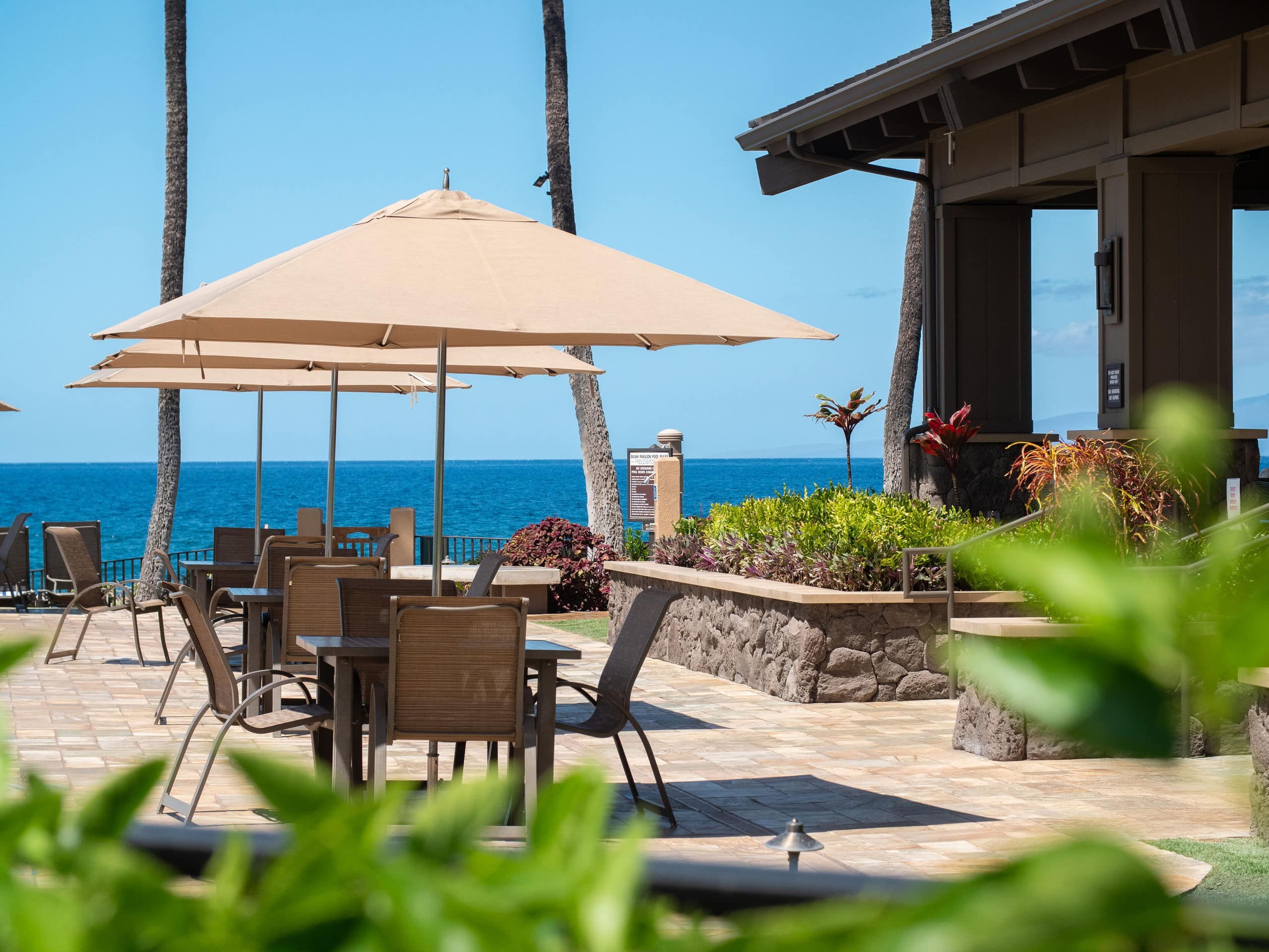 Tropical Beachfront Paradise - Image 50
