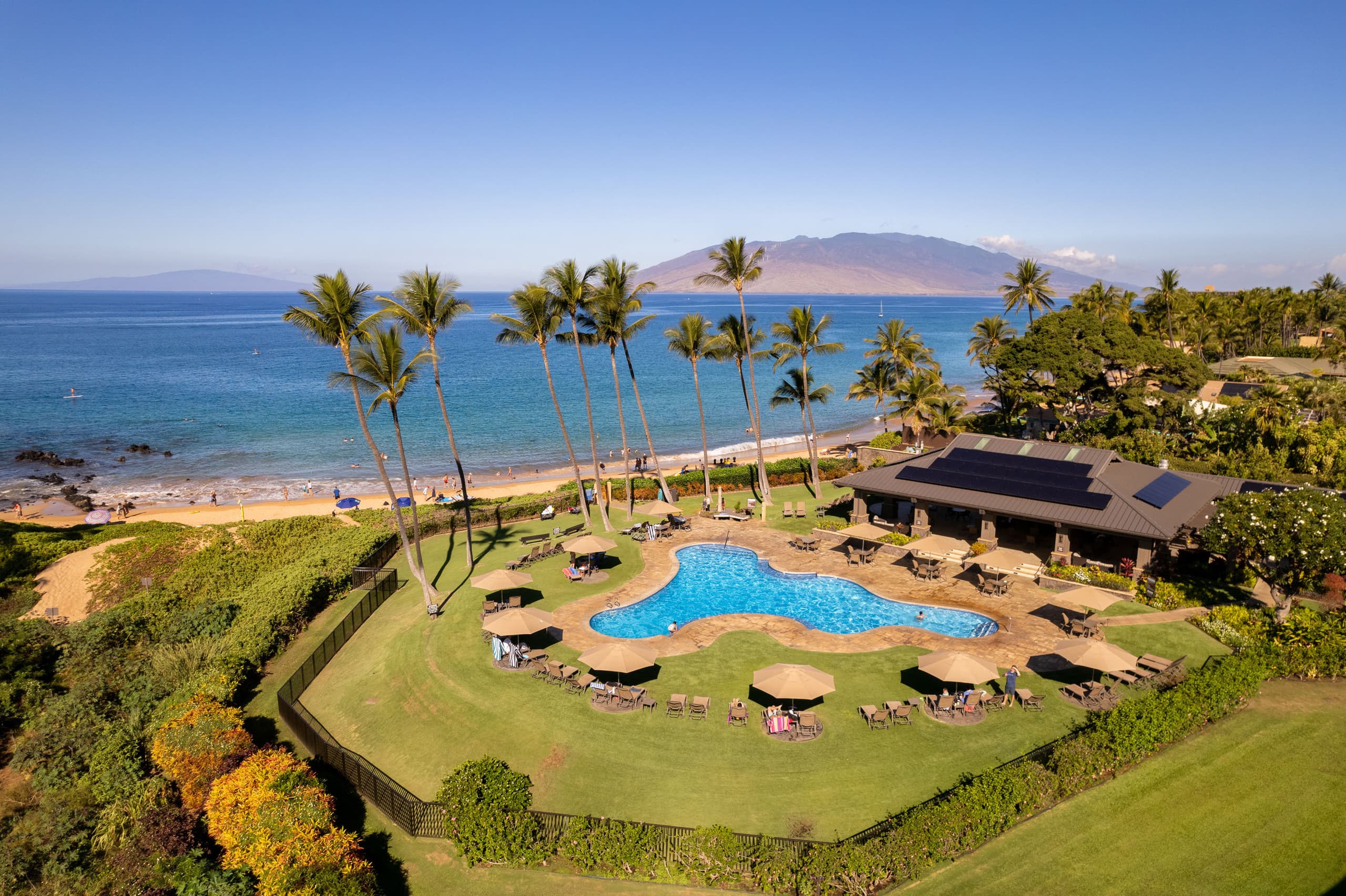 Tropical Beachfront Paradise - Image 47
