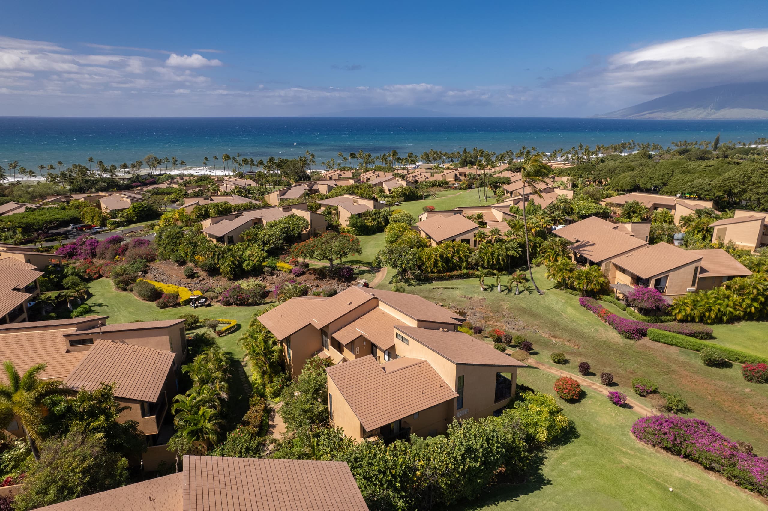 Tropical Beachfront Paradise - Image 38