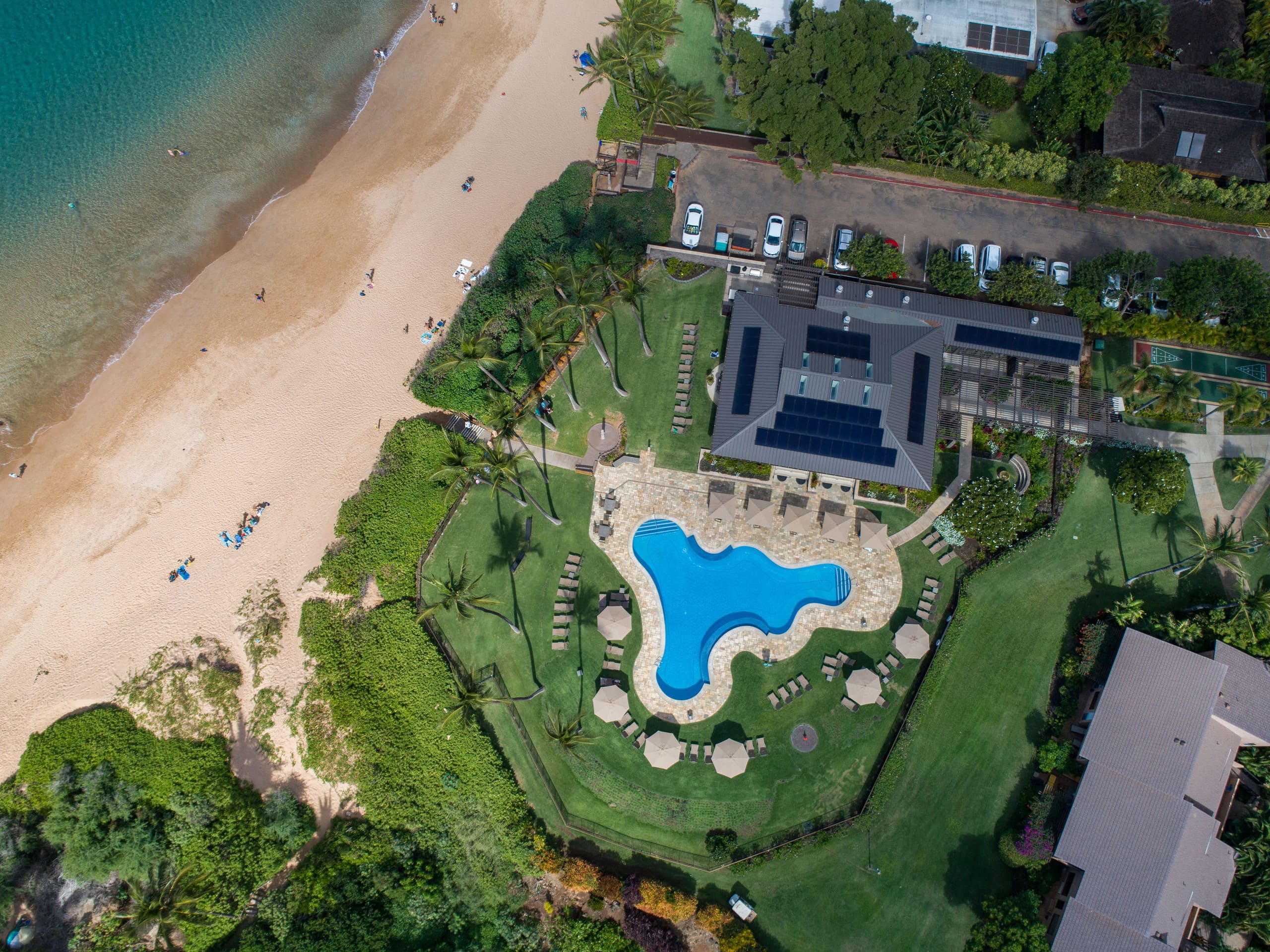 Tropical Beachfront Paradise - Image 48