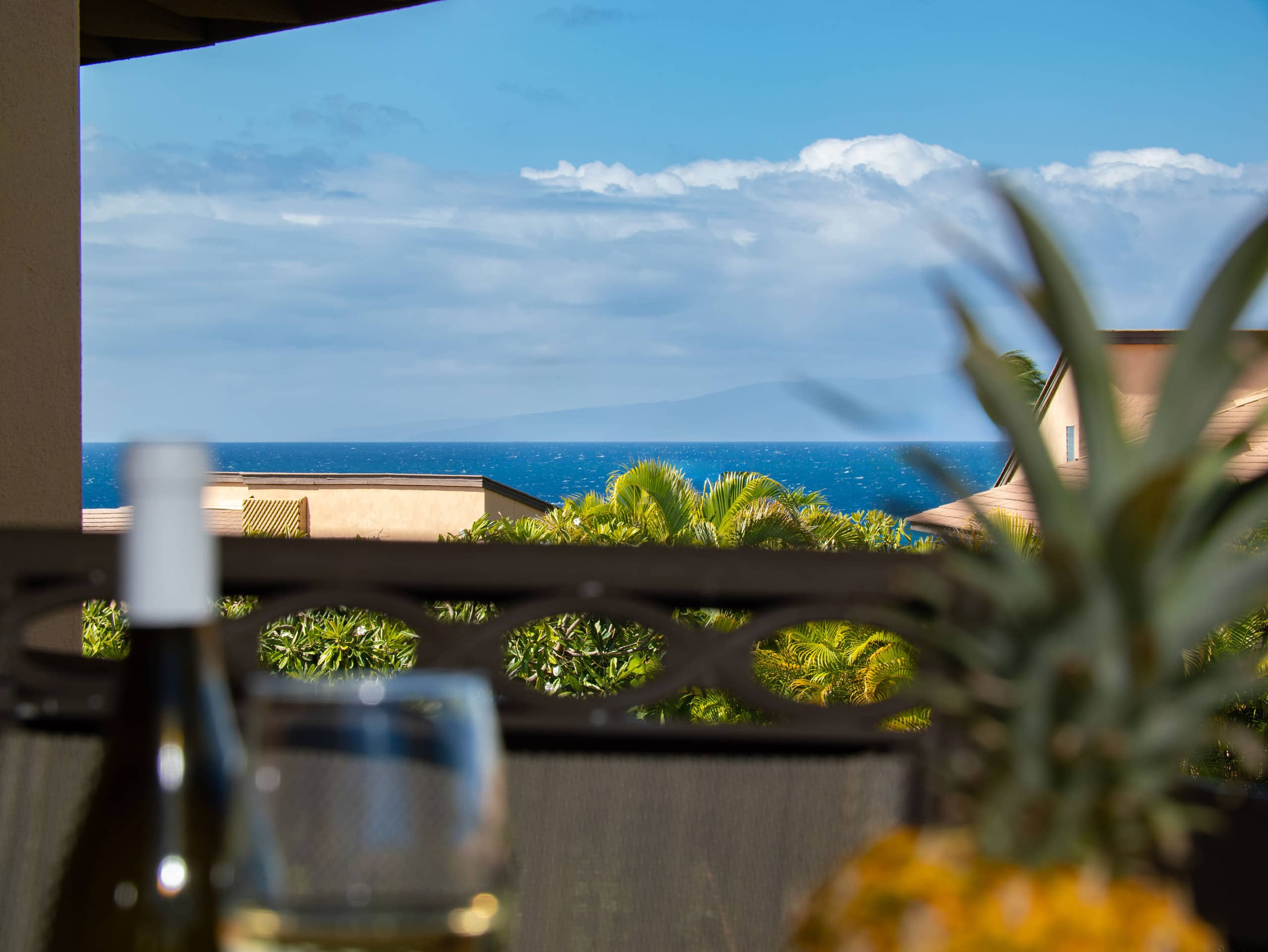 Tropical Beachfront Paradise - Image 23