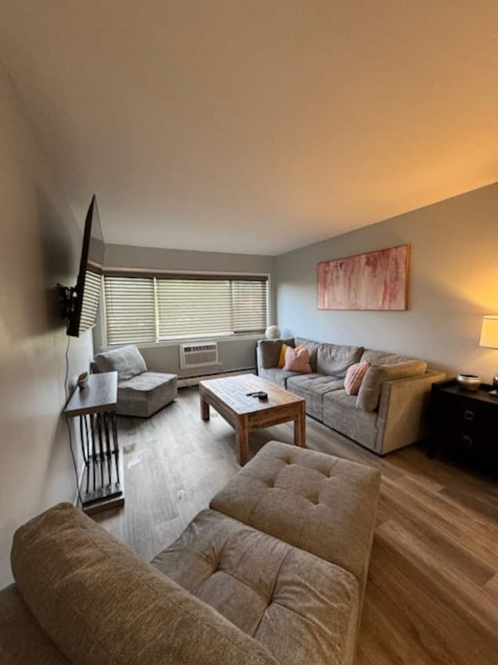 Modern Apt Free Parking & Wi-fi - Saint Paul, MN