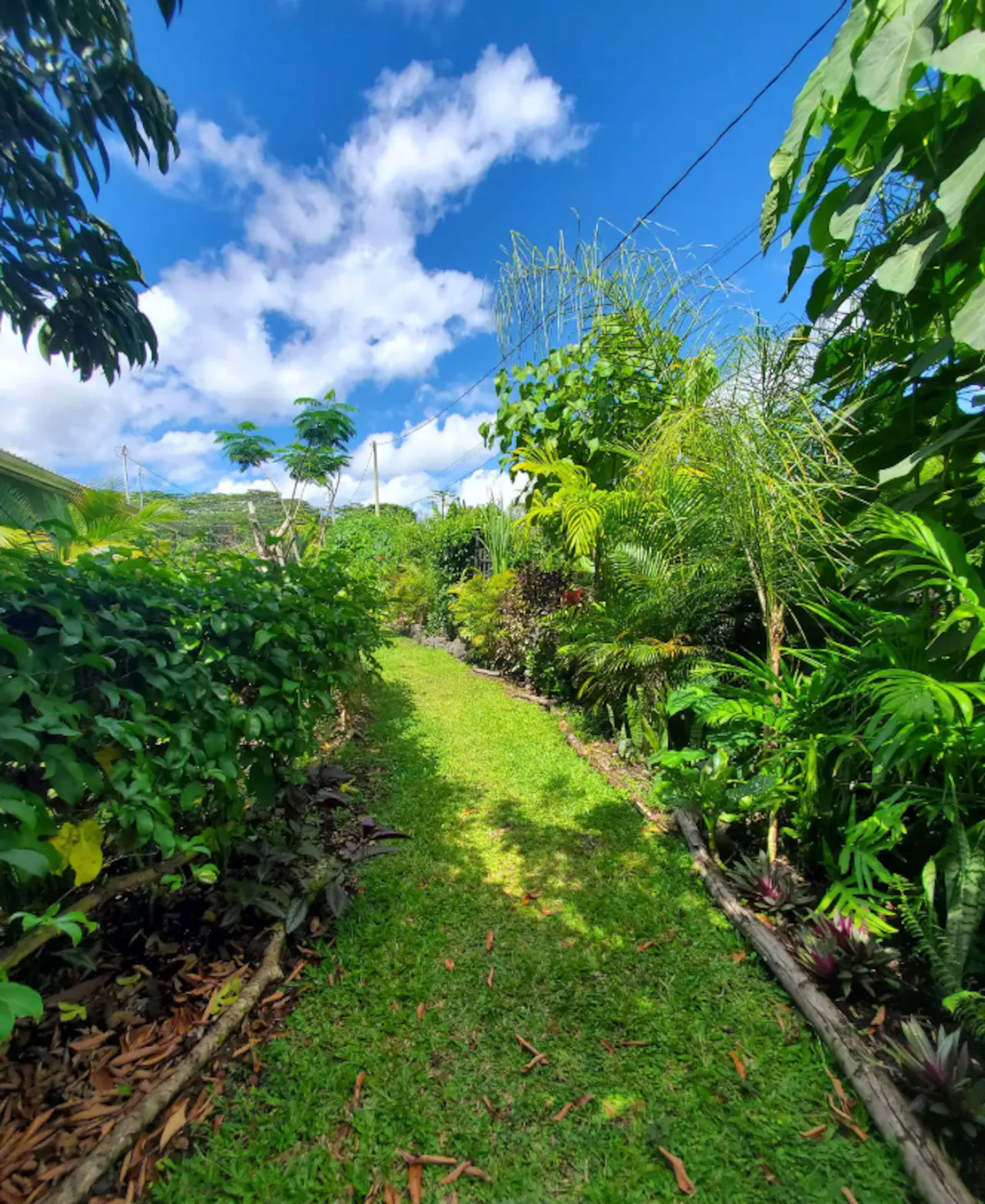 “Aloha Ohana”Tropical Garden, Peaceful Lanai, Pool - Photo 30