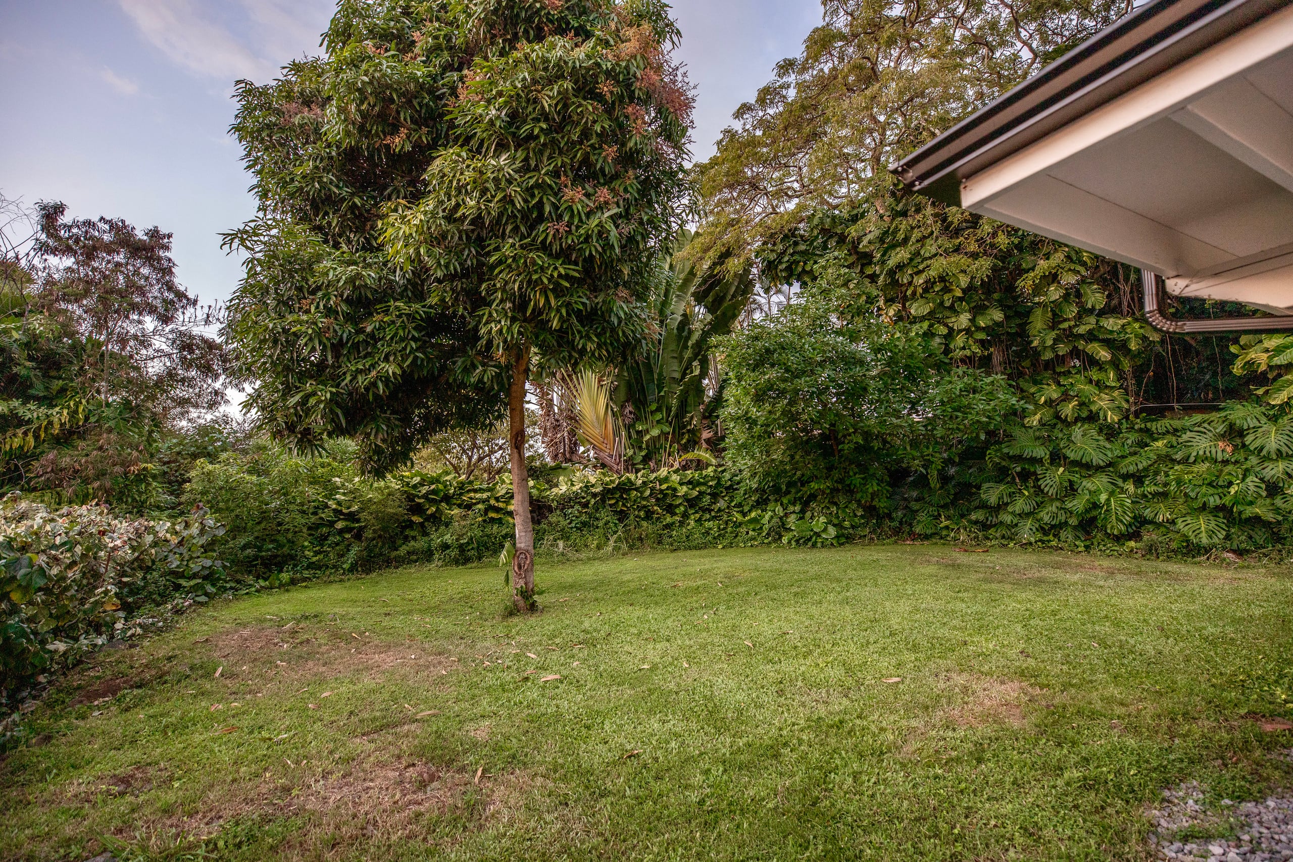 Home in Kailua-Kona · ★4.98 · 3 bedrooms · 3 beds · 2 private baths - Image 18