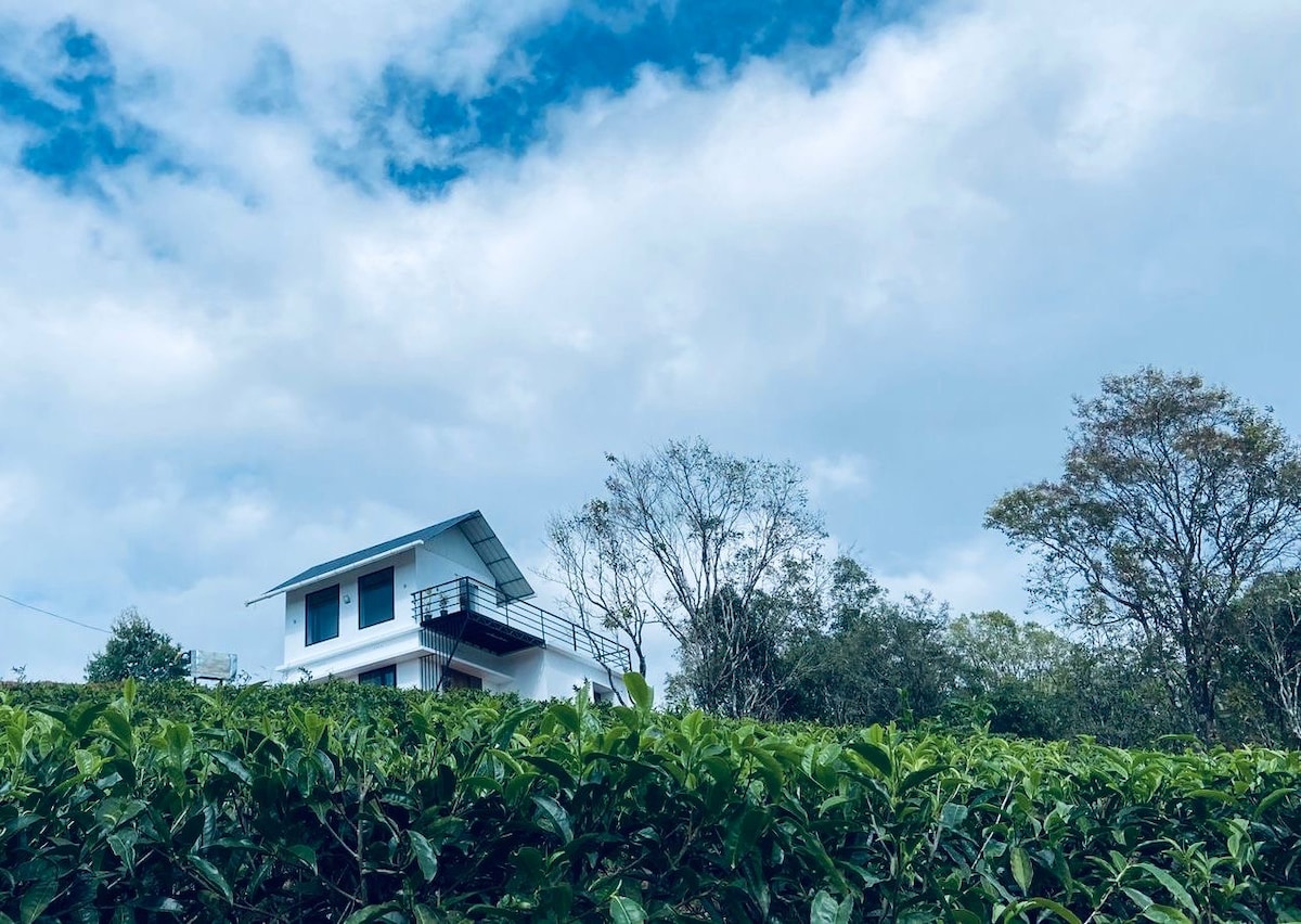 A villa is positioned atop a gentle hill, surrounded by lush tea plants. The structure features a contemporary design with a flat roof and balcony, providing an unobstructed view of the sky and surrounding greenery.