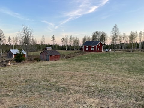 Torp for those who seek the silence