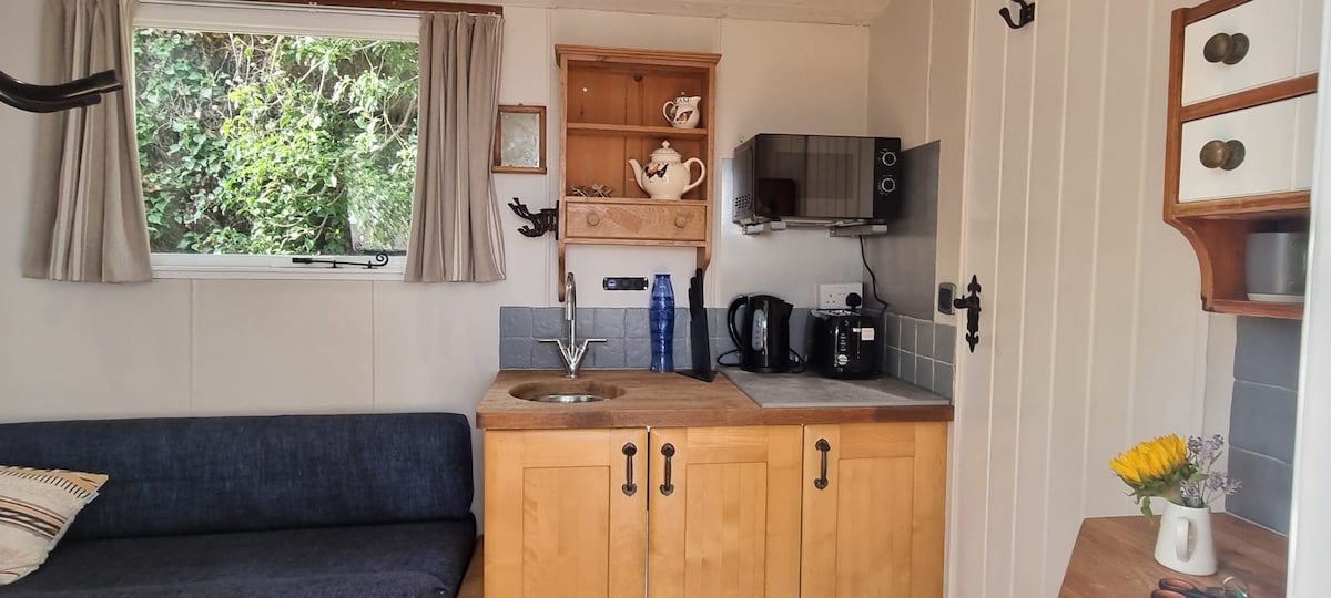 Popular Airbnb listing: The Seaside Shepherd's Hut in Colchester