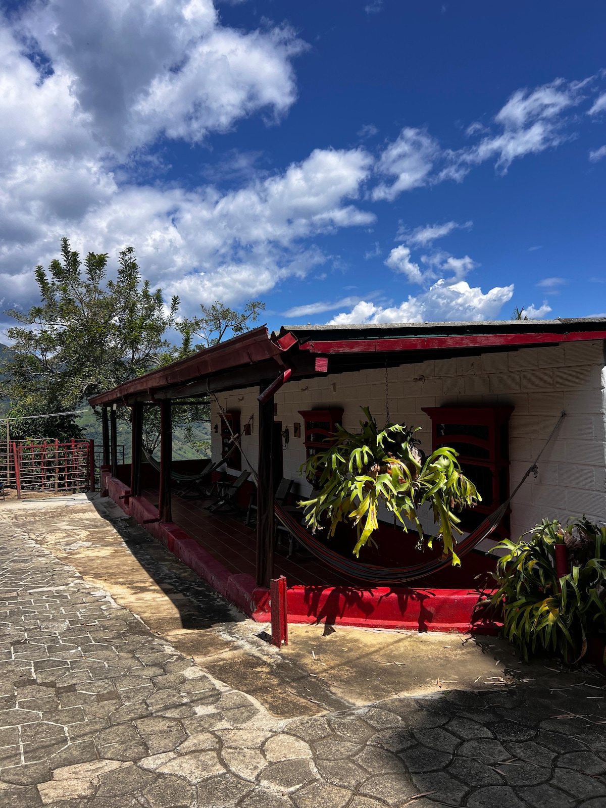 A red-roofed structure is surrounded by lush greenery and features a spacious porch with hammocks. The stone pathway leads to the entrance, framed by vibrant plants. A clear blue sky with scattered clouds provides a bright backdrop for the inviting outdoor space.