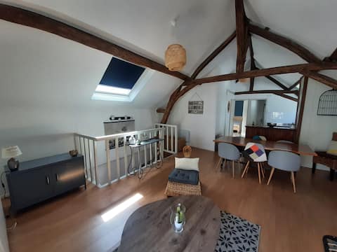 Cozy Aléa Apartment, Downtown, for 5 people