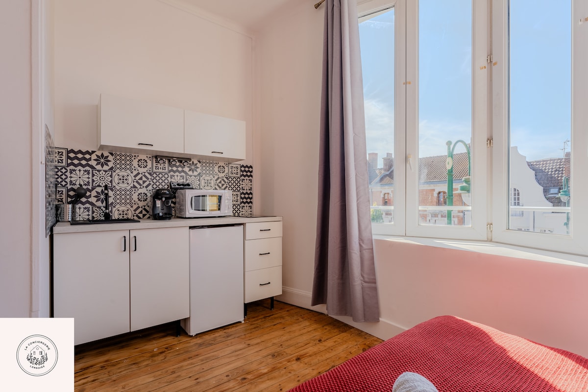 Top performing Airbnb: View of Basly in Lens