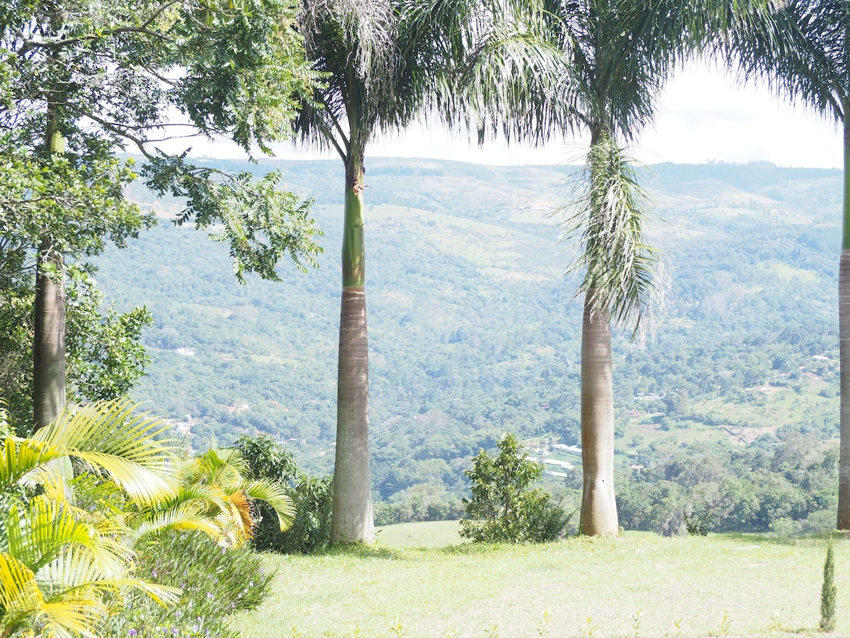 Tall palm trees frame a stunning view of rolling green hills and distant mountains. The lush landscape creates a serene atmosphere, with vibrant greenery contrasting against the expansive sky, enhancing the natural beauty surrounding the property.