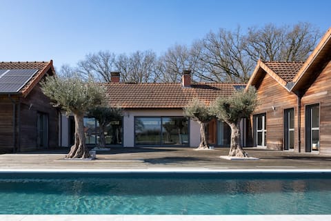 Architect-designed house with pool