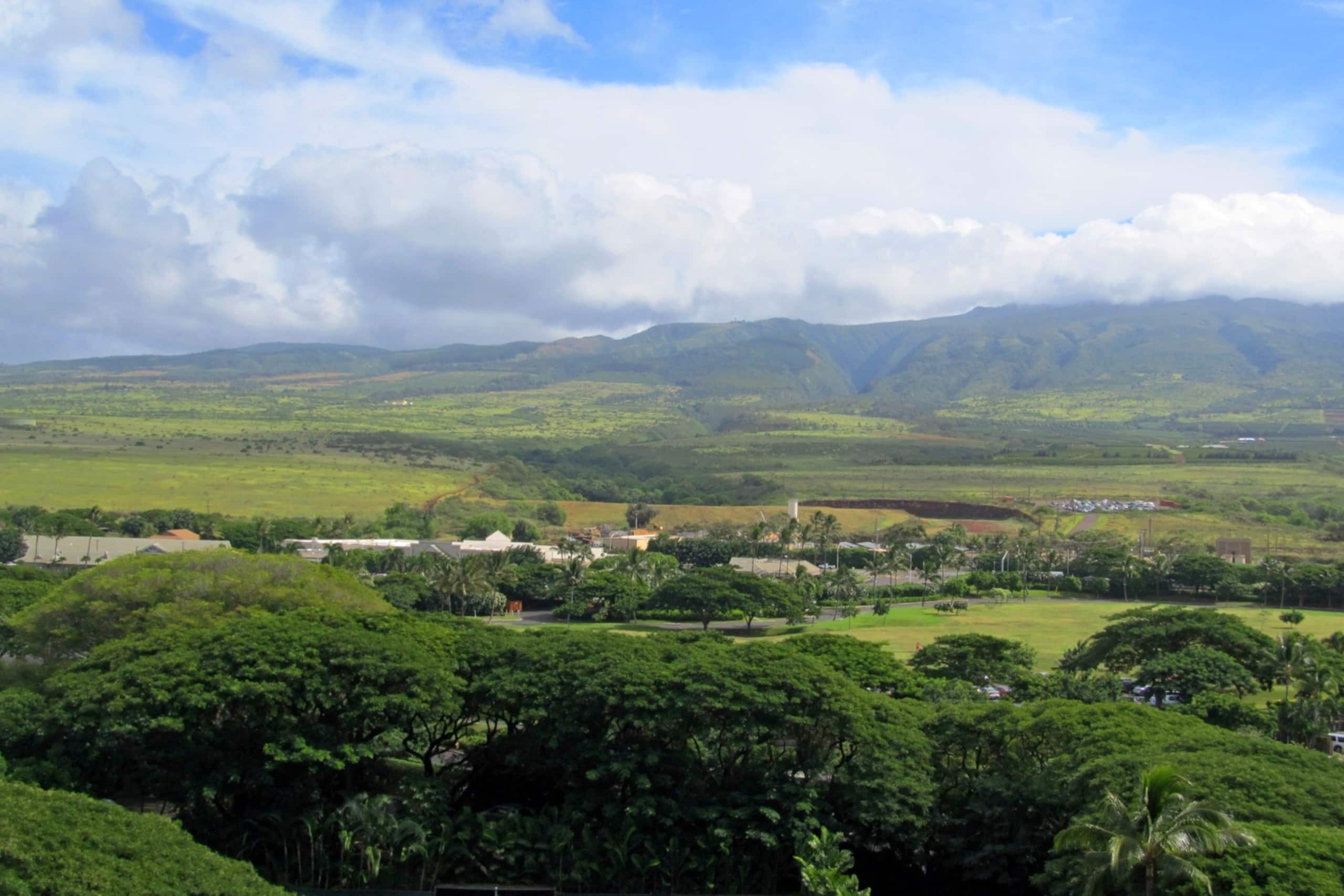 Condo in Lahaina · ★5.0 · 1 bedroom · 1 bed · 1 bath - Image 29