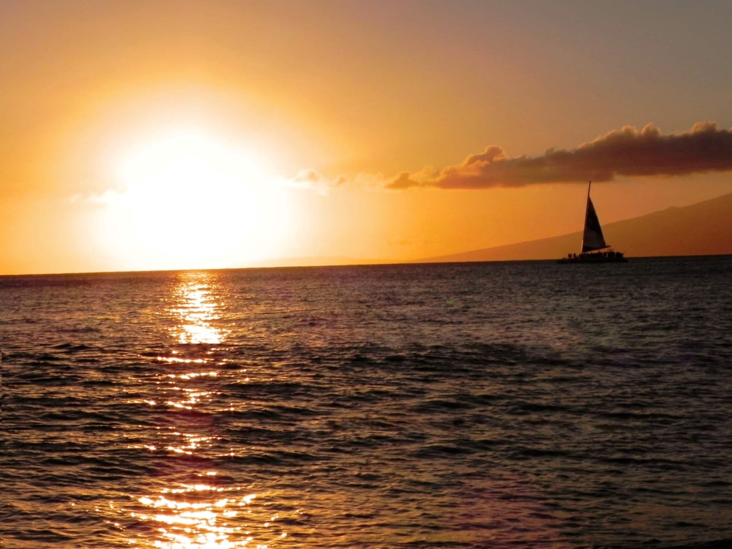 Condo in Lahaina · ★5.0 · 1 bedroom · 1 bed · 1 bath - Image 19