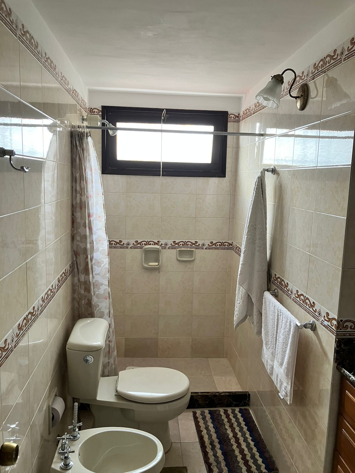 A bright bathroom is equipped with a shower stall, toilet, and bidet. Soft-hued tiles line the walls, complemented by an overhead light fixture. A window allows natural light to enter, revealing neatly hung white towels and a patterned bath mat on the floor.
