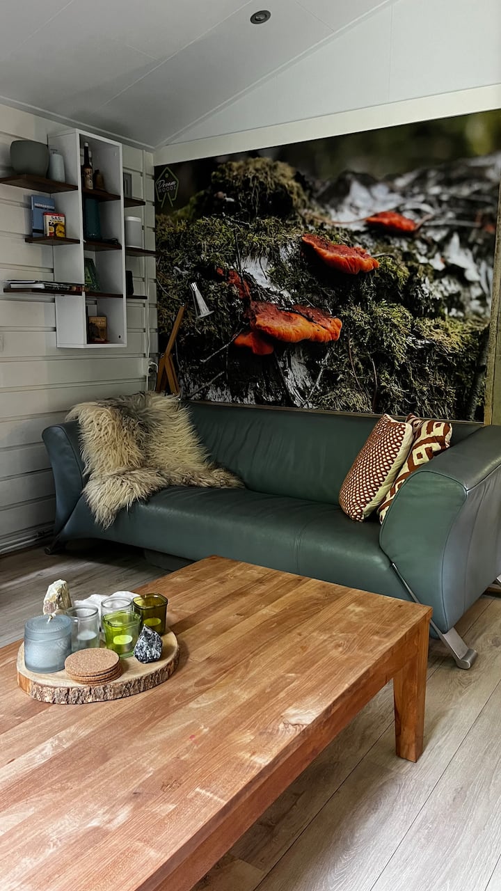Een Droomchalet Op De Veluwe - Dieren