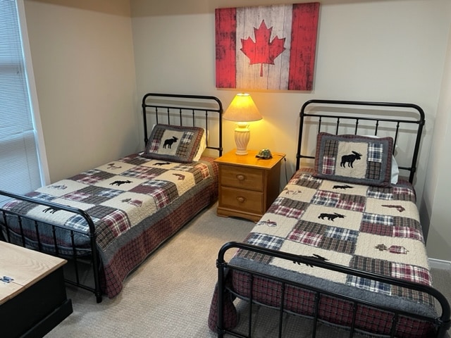 Პირველი სართულის ნათელი საძინებელი აივნით. Გასართობი ცენტრი, მათ შორის, DVD და Wii სისტემა. ორი ერთადგილიანი საწოლი