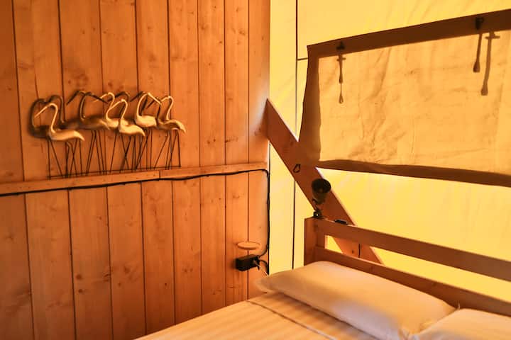 Dreamer 49 Il Comfort In 50 Mq - Montalto di Castro