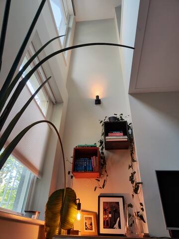 The perfect urban retreat in RTD gallery image 3