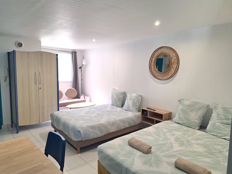 Studio center-ville 30 min Paris