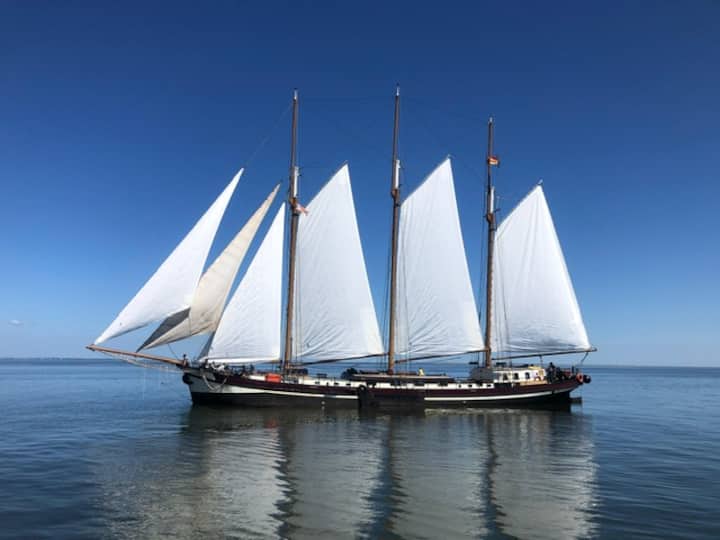 Zeilschip Nil Desperandum - Frise